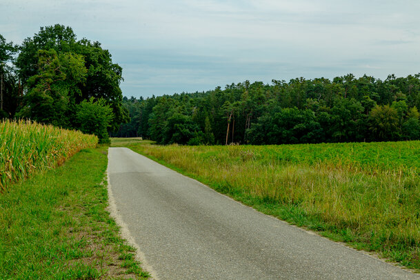 Thumbnail: 09_JA 40717 Weg zur Linde, links Mais, rechts Kartoffeln.jpg